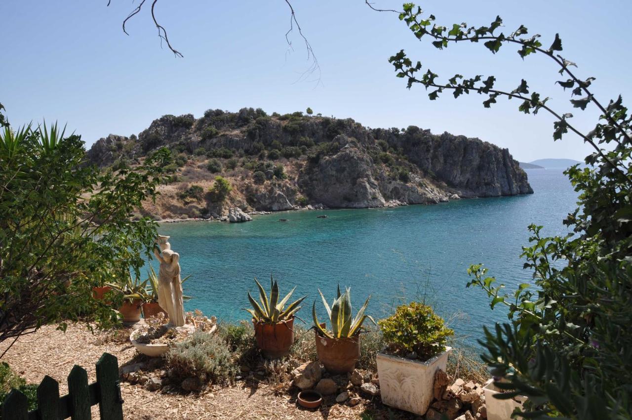 Lalezas Studios Tolón Dış mekan fotoğraf